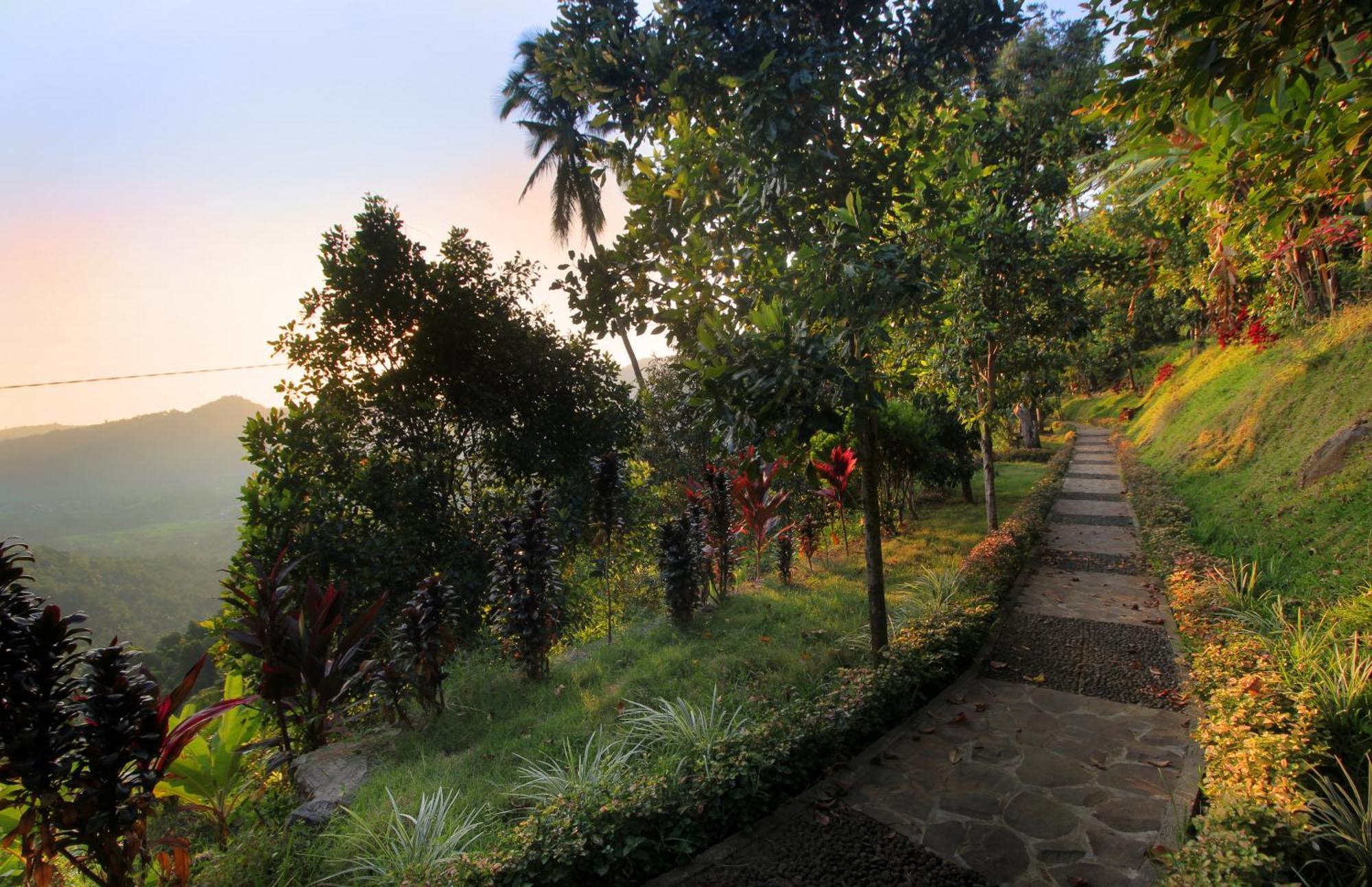 Rostika Hotel Sekumpul Pabean Buleleng エクステリア 写真